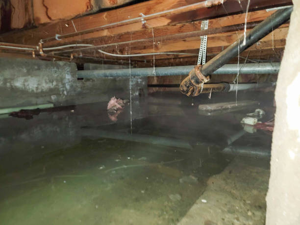 Water damage restoration insurance claims in Pipestone, MN