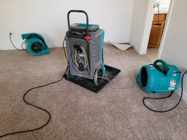 Best Water damage restoration near me  in Pipestone, MN