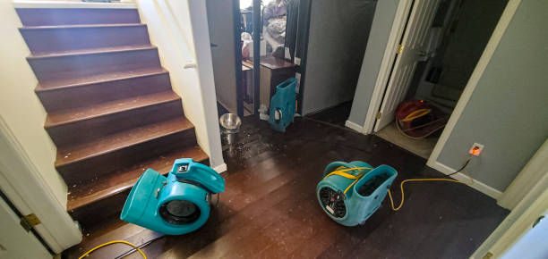 Best Water damage restoration company  in Pipestone, MN