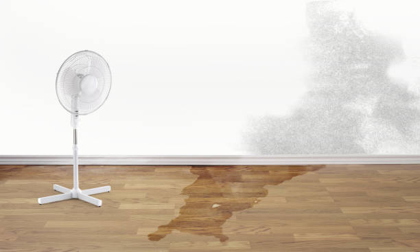 Best Flooded house restoration  in Pipestone, MN