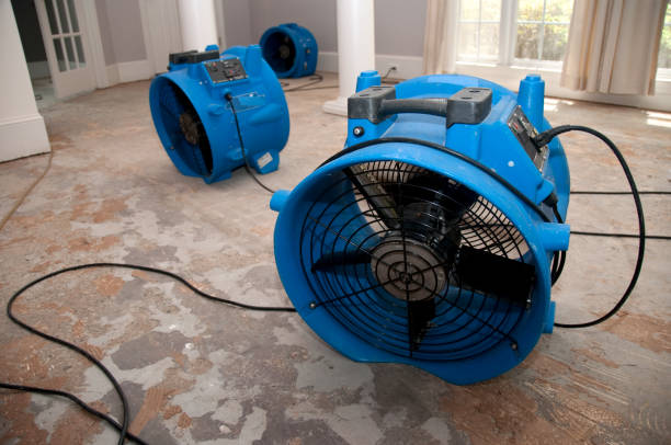 Best Water damage restoration services  in Pipestone, MN