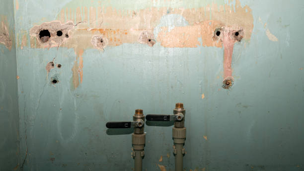 Best Flooded house restoration  in Pipestone, MN