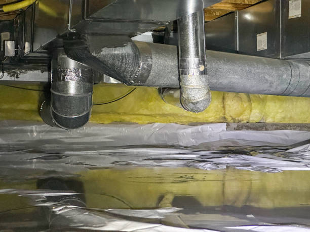 Best Professional water damage repair  in Pipestone, MN