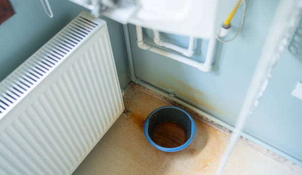 Best Fire Damage Restoration  in Pipestone, MN