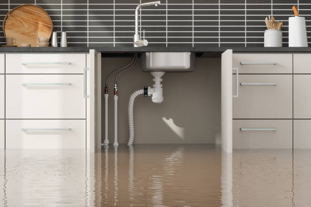 Best Commercial water damage restoration  in Pipestone, MN