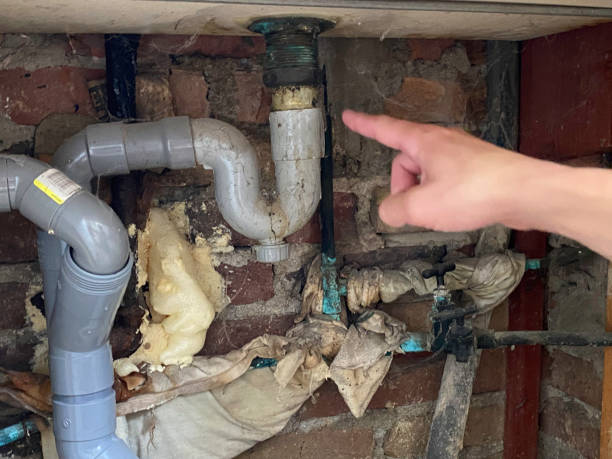 Best Residential water damage restoration  in Pipestone, MN