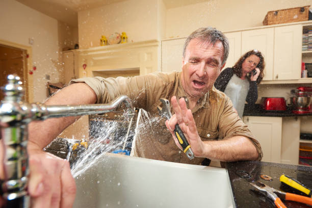 Best Mold removal after water damage  in Pipestone, MN